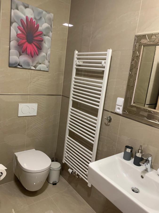 Apartment Rezidence - Javor & Wellness เชเลซนารูดา ภายนอก รูปภาพ