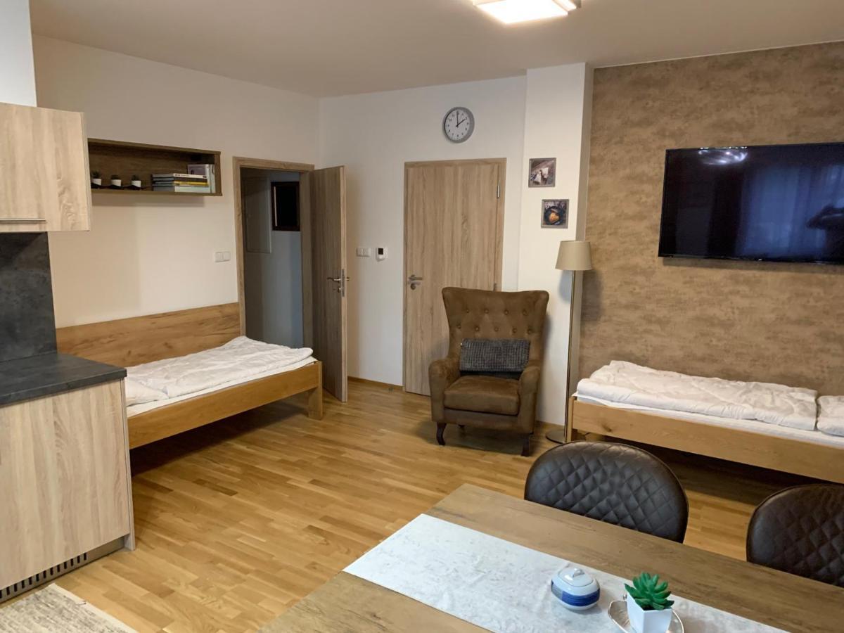 Apartment Rezidence - Javor & Wellness เชเลซนารูดา ภายนอก รูปภาพ