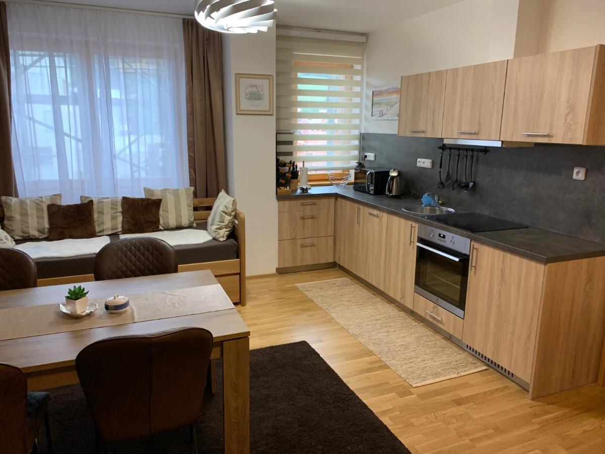 Apartment Rezidence - Javor & Wellness เชเลซนารูดา ภายนอก รูปภาพ